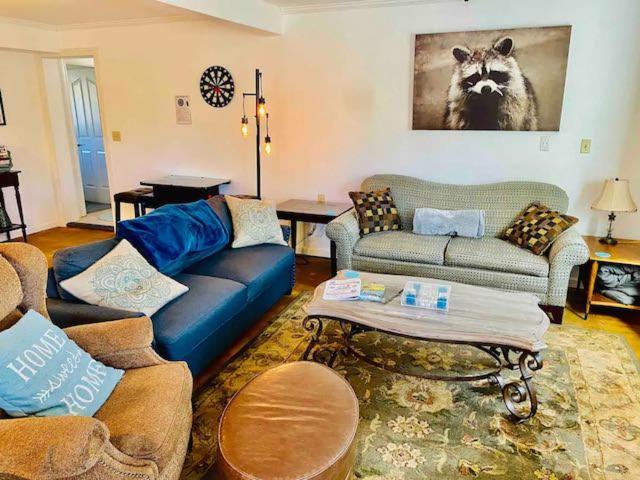 Raccoon Hideout Hot Tub Bbq Arcade Darts Villa Oakhurst Exterior photo